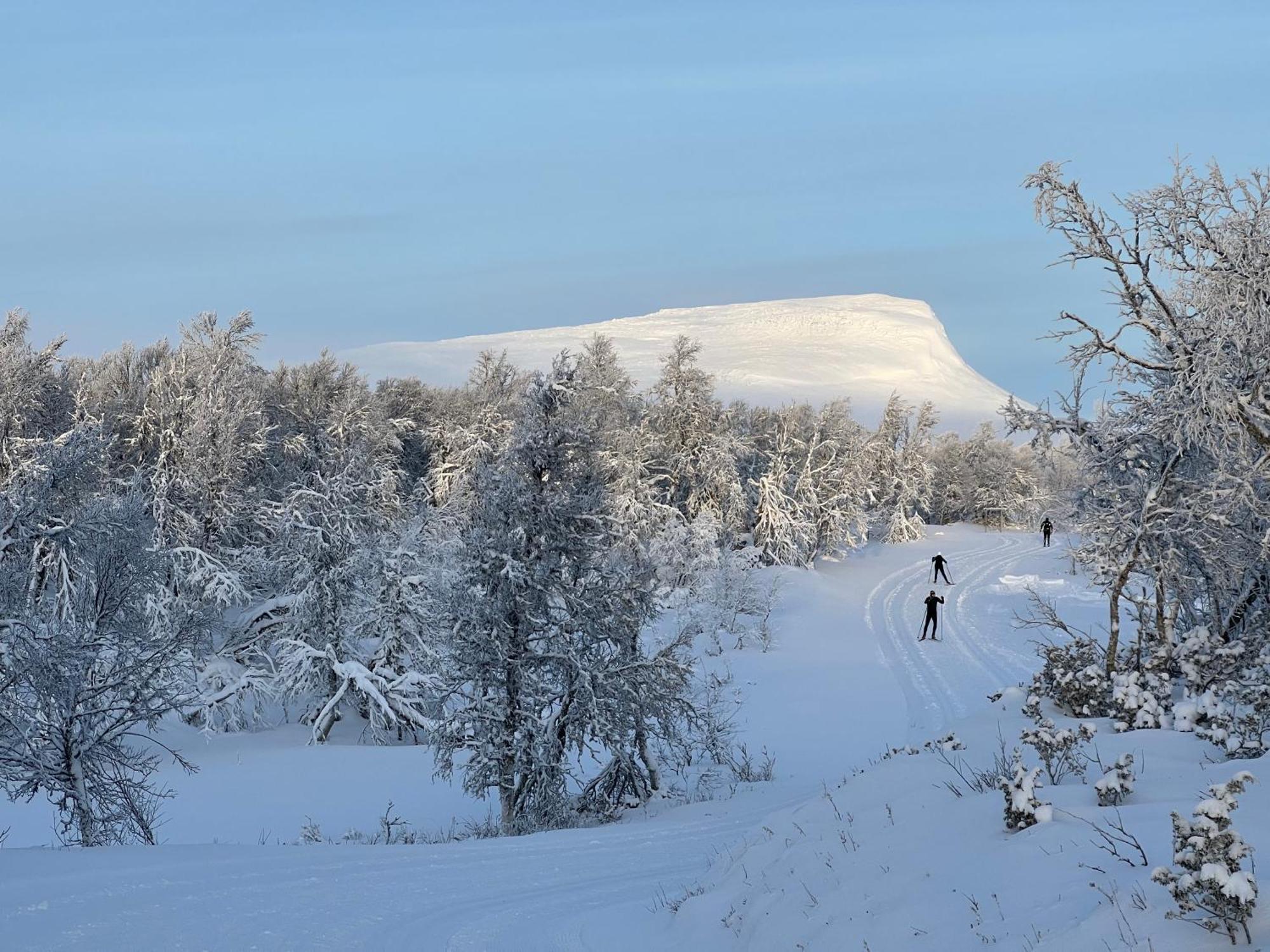Bruksvallarna - Modern Fjaellstuga Med Panoramautsikt Och Wifi Exterior photo